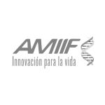 amiif logo